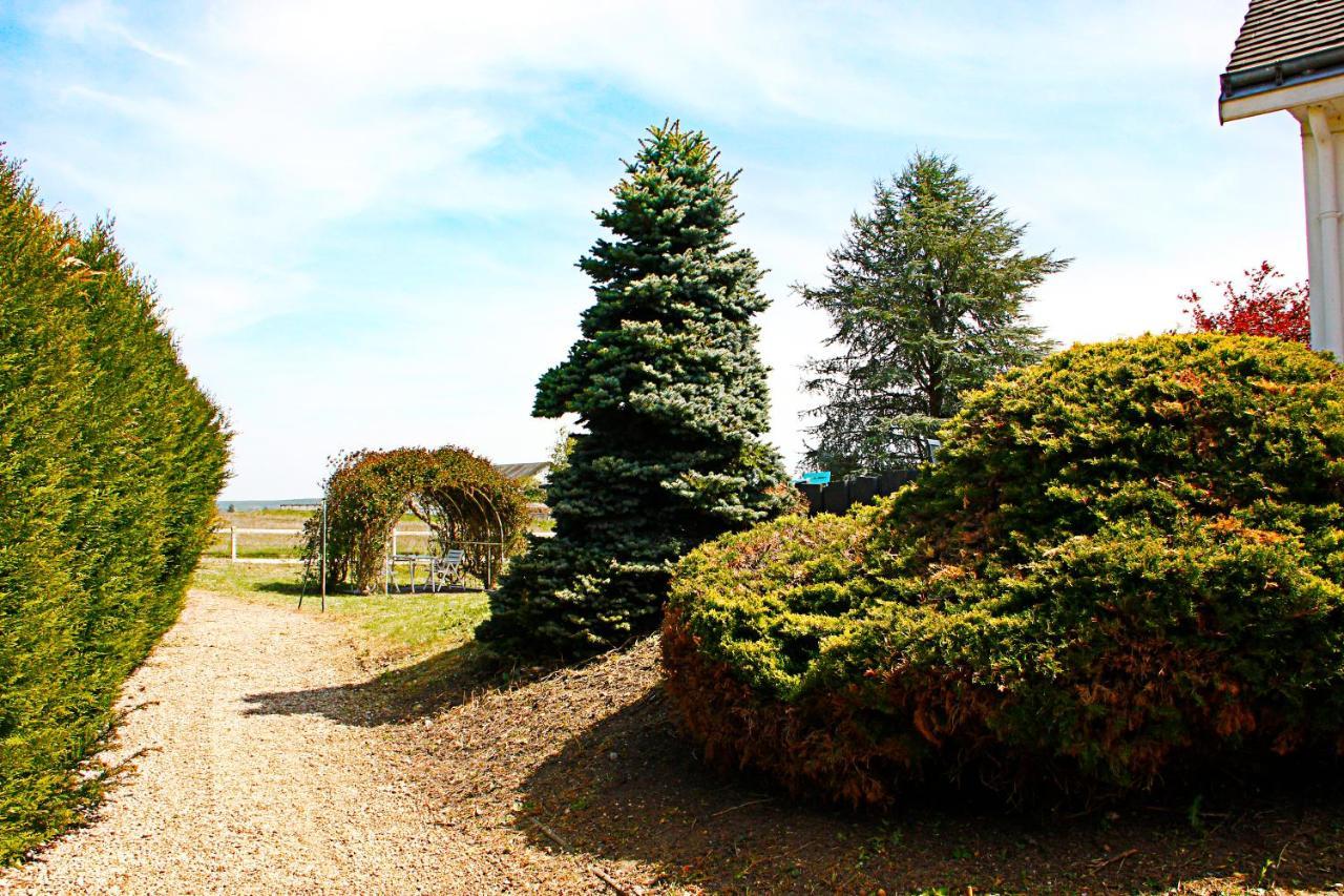 La Veuzaine Bed & Breakfast Onzain Dış mekan fotoğraf