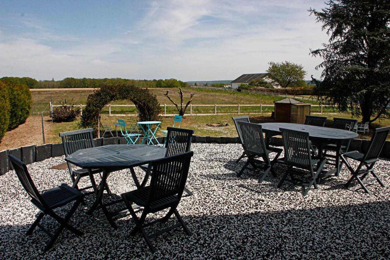 La Veuzaine Bed & Breakfast Onzain Dış mekan fotoğraf