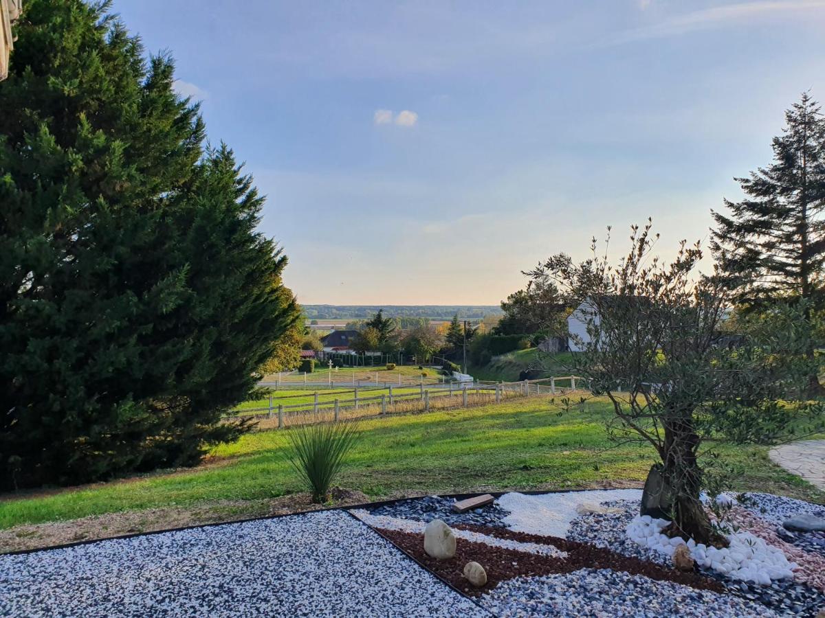 La Veuzaine Bed & Breakfast Onzain Dış mekan fotoğraf