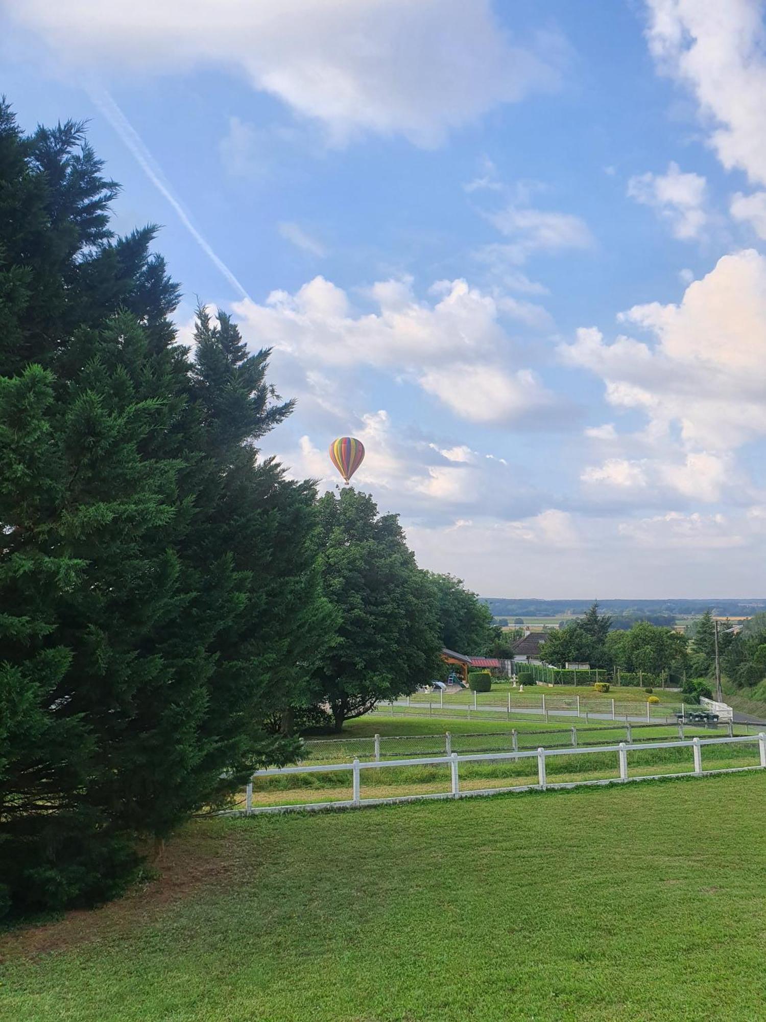 La Veuzaine Bed & Breakfast Onzain Dış mekan fotoğraf