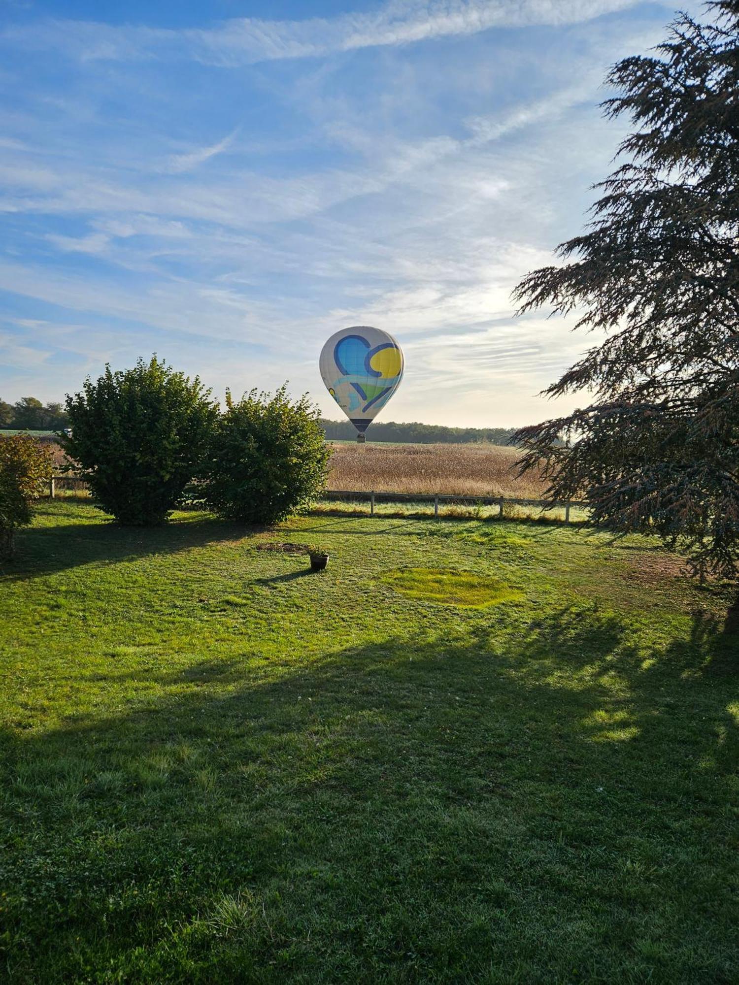 La Veuzaine Bed & Breakfast Onzain Dış mekan fotoğraf